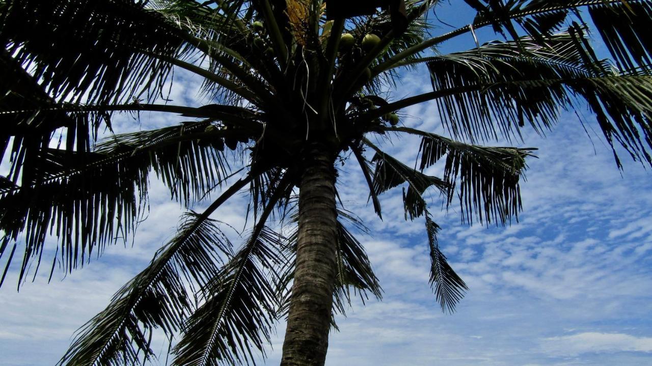 Dikaloha Surfschool And Stay Airsatang Dış mekan fotoğraf